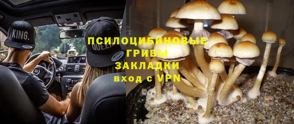 ПСИЛОЦИБИНОВЫЕ ГРИБЫ Алзамай