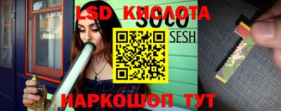 индика Лесосибирск