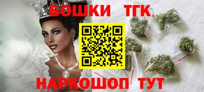индика Лесосибирск