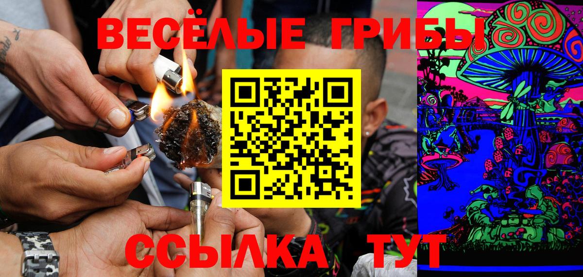 Иваново  Галлюциногенные грибы Magic Shrooms  Вход с VPN 