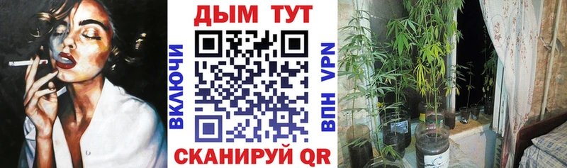 mega tor  как найти закладки  нарко площадка какой сайт  Бошки Шишки VHQ  Иваново 